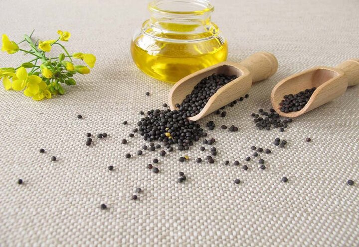 چالشهای روغنکشی از کمبود مواد اولیه تا زمانبر شدن تصمیمات